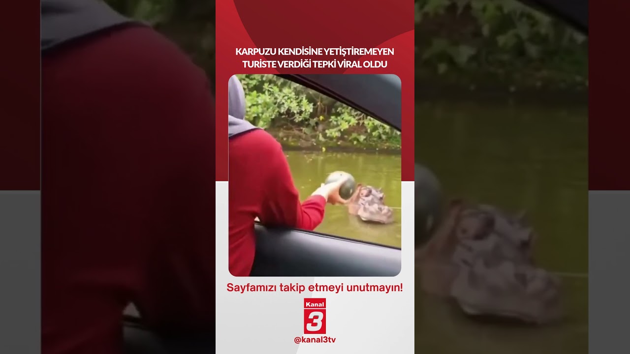 Karpuzu kendisine yetiştiremeyen turiste verdiği tepki viral oldu…