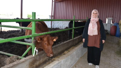 “Kırsalda Bereket Hayvancılığa Destek Projesi” kapsamında hibe almaya hak kazanan
