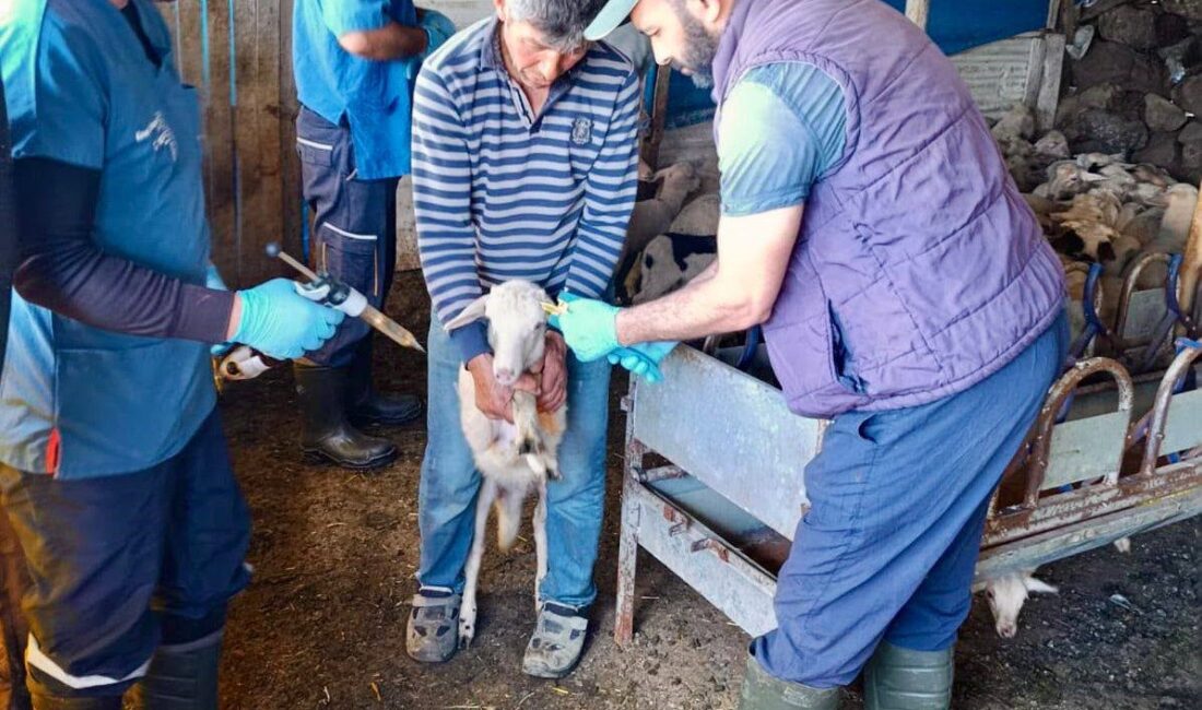 Hayvan sağlığının korunması ve hayvan hareketlerinin kontrol altında tutulması hedefiyle