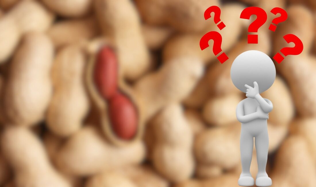 Yer fıstığı içinde bulundurduğu vitamin, mineral, protein ve sağlıklı yağlar