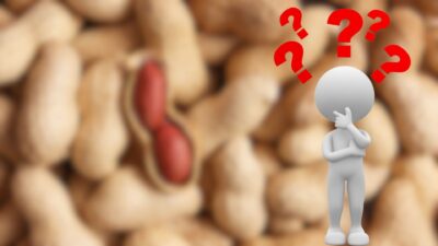 Yer fıstığı içinde bulundurduğu vitamin, mineral, protein ve sağlıklı yağlar