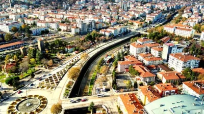Türkiye İstatistik Kurumu Başkanlığı (TÜİK) Ölüm ve Ölüm Nedeni İstatistikleri,