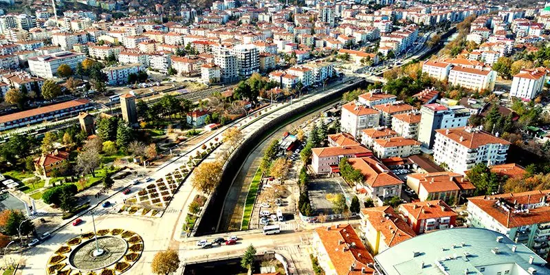 Türkiye İstatistik Kurumu Başkanlığı (TÜİK) Ölüm ve Ölüm Nedeni İstatistikleri,