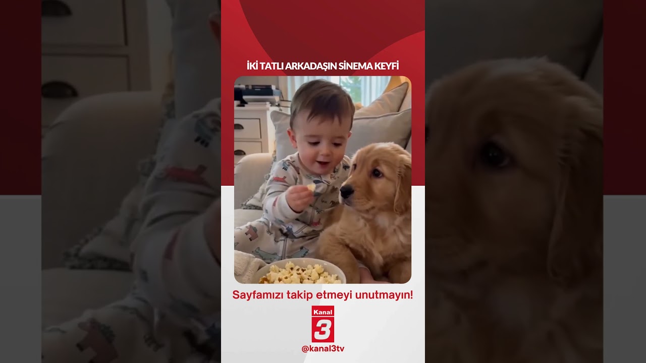 İki tatlı arkadaşın sinema keyfi…