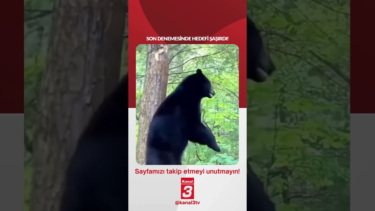 Son denemesinde hedefi şaşırdı!
