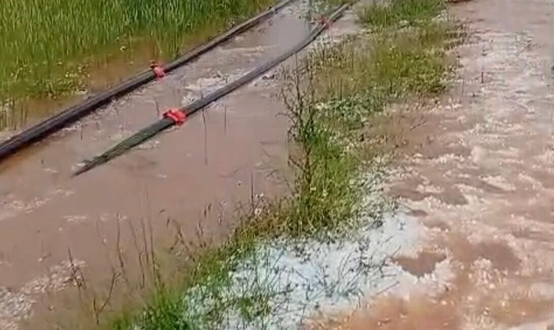 AFYONKARAHİSAR (AA) – Afyonkarahisar'da etkisini gösteren dolu yaşamı olumsuz etkiledi.