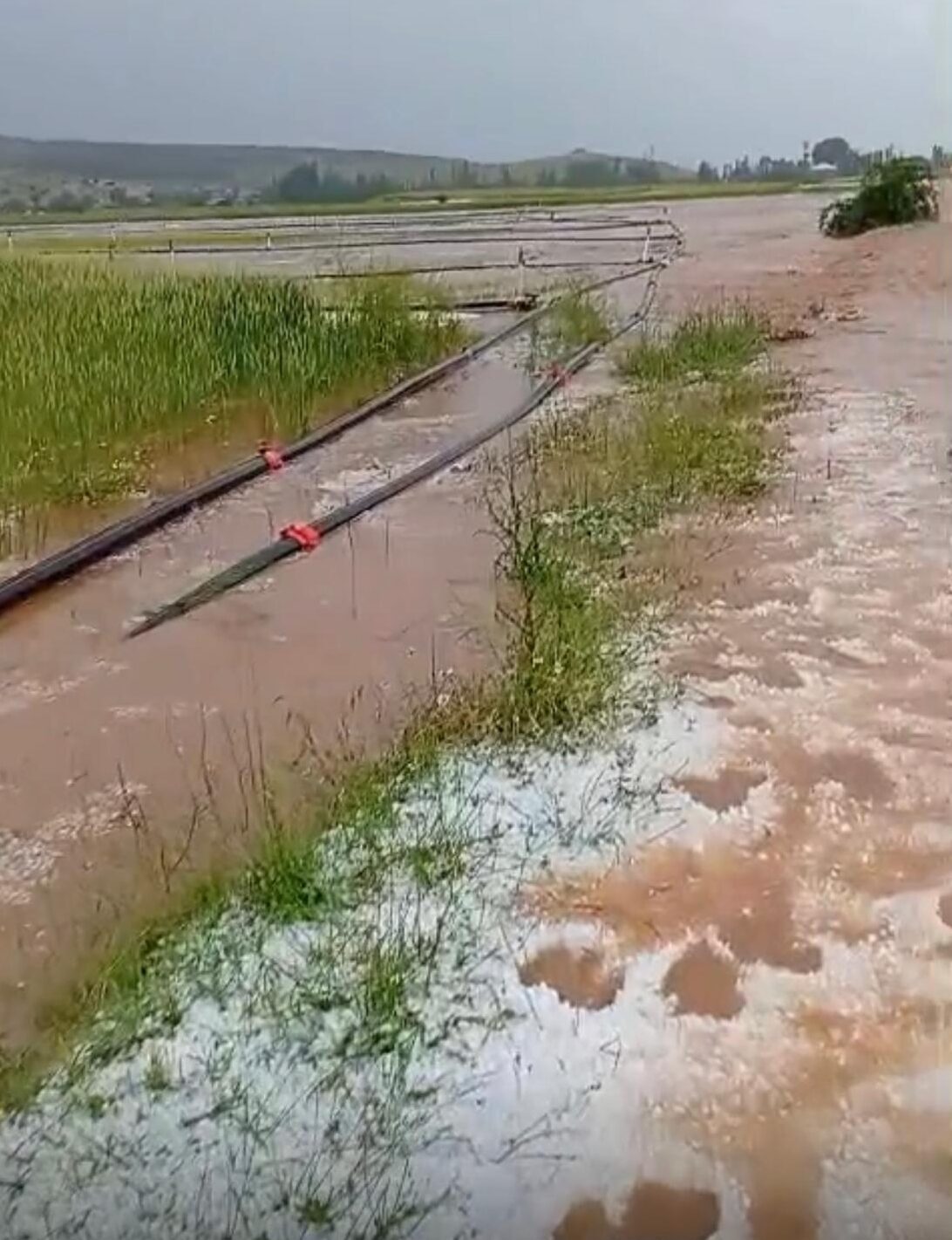 AFYONKARAHİSAR (AA) – Afyonkarahisar'da etkisini gösteren dolu yaşamı olumsuz etkiledi.
