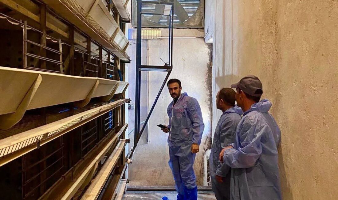 Hayvan sağlığının korunması, bulaşıcı hastalıkların önlenmesi ve işletmelerde biyogüvenlik tedbirlerinin