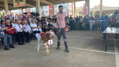 Afyonkarahisar’ın Sultandağı ilçesinde bu yıl 5’ncisi gerçekleştirilen ’Ulusal Tarım, Hayvancılık