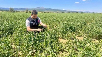 Afyonkarahisar’da tarımsal üretimin planlı bir şekilde yürütülmesi, üretim verilerinin doğruluğunun