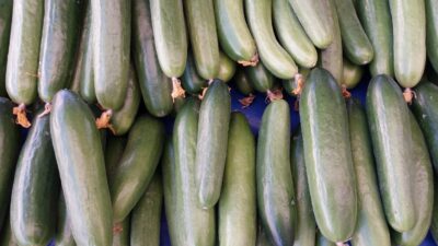 Yaklaşık yüzde %95’i sudan oluşan salatalık; C ve K vitaminleri,