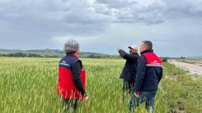 Afyonkarahisar Tarım ve Orman İl Müdürlüğünden yapılan açıklamada, kent genelinde