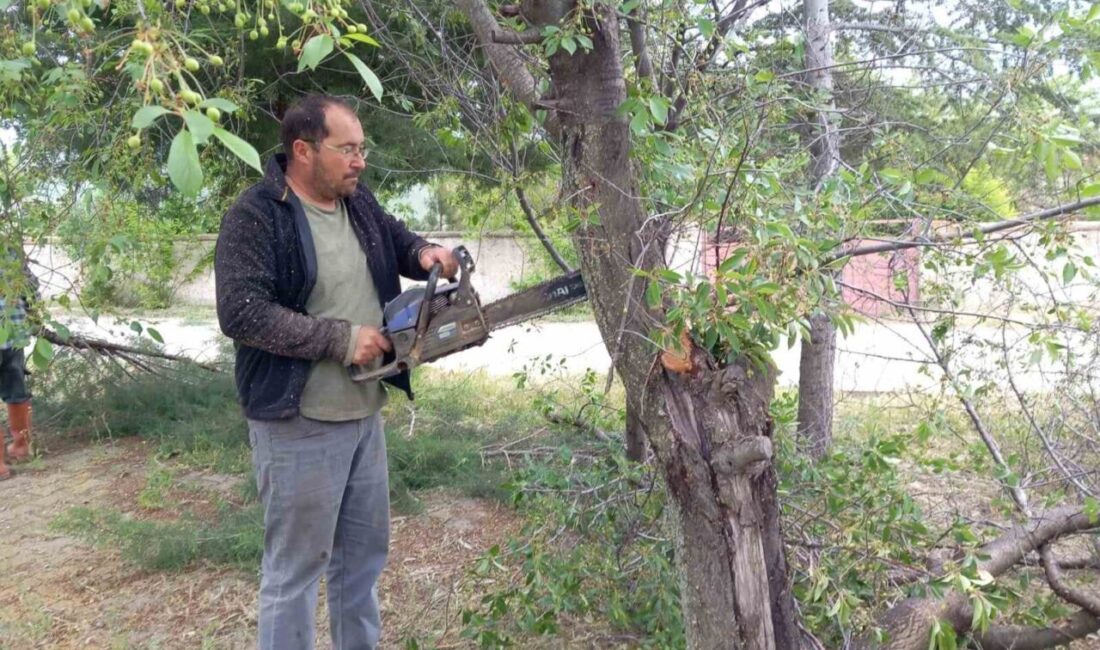 Afyonkarahisar’ın Emirdağ ilçesinde bulunan Yarımca Köyü’nün Muhtarı Ali Ün, parktaki