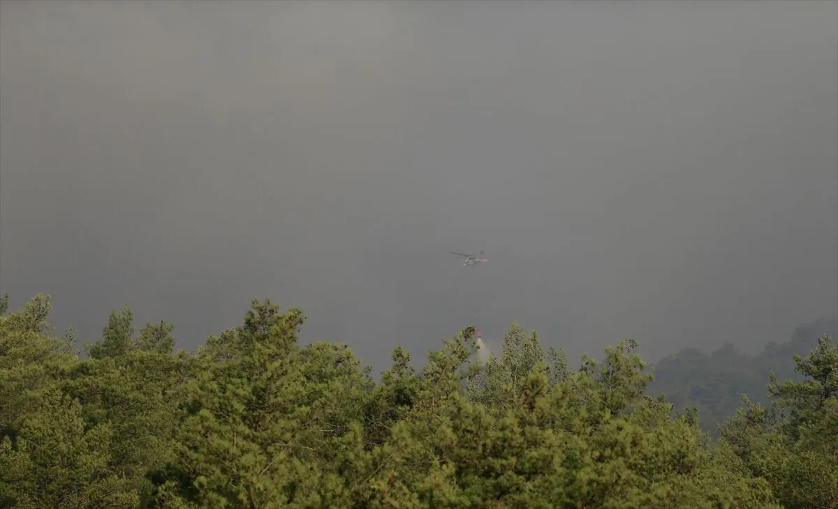 Muğla, Antalya, Balıkesir ve Mersin'deki orman yangınlarına müdahale ediliyor 5 Muğla, Antalya, Balıkesir ve Mersin'deki orman yangınlarına müdahale ediliyor