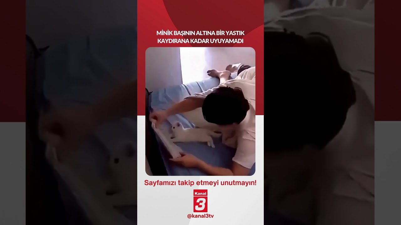 O, minicik başının altına bir yastık kaydırana kadar uyuyamadı…