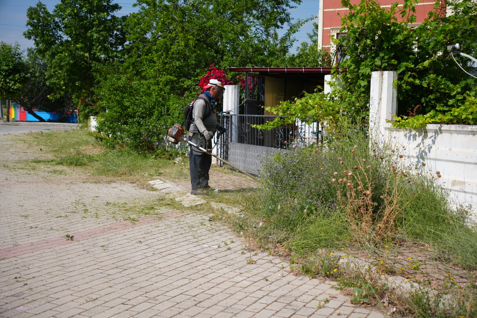 Bolvadin’de çevre düzenlemesi sürüyor