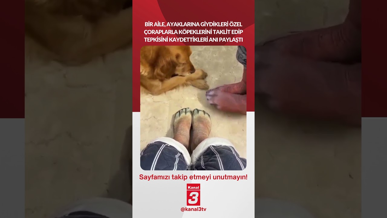 Ayaklarına giydikleri özel çoraplarla köpeklerini taklit edip tepkisini kaydettikleri anı paylaştı..