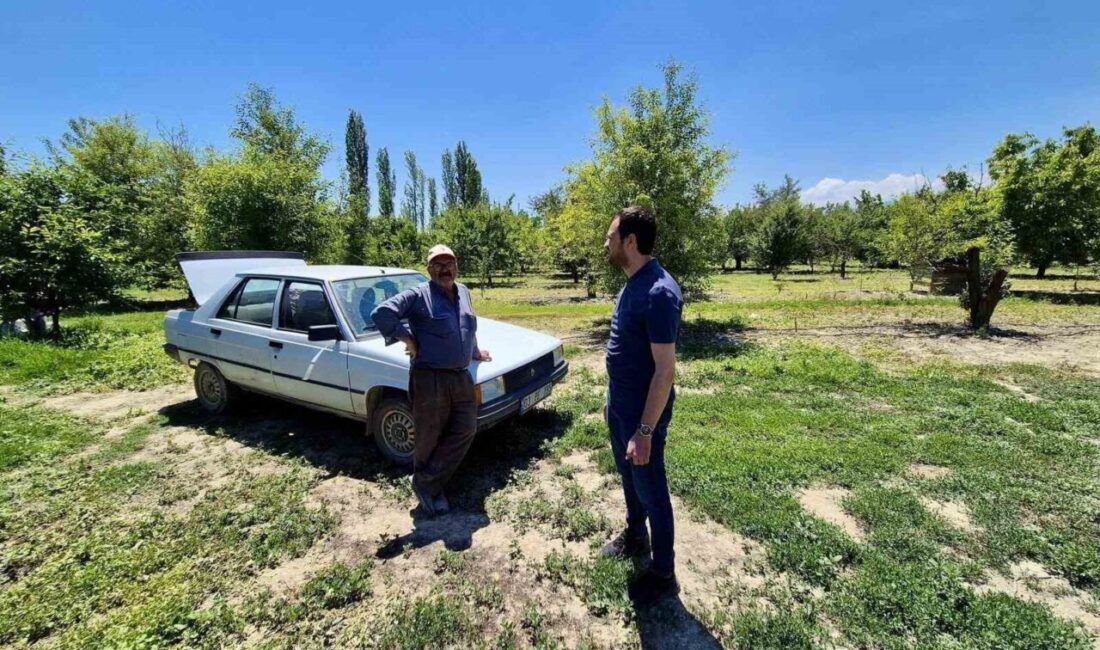 Afyonkarahisar İl Tarım ve Orman Müdürlüğü tarafından bitkisel üretimde verim