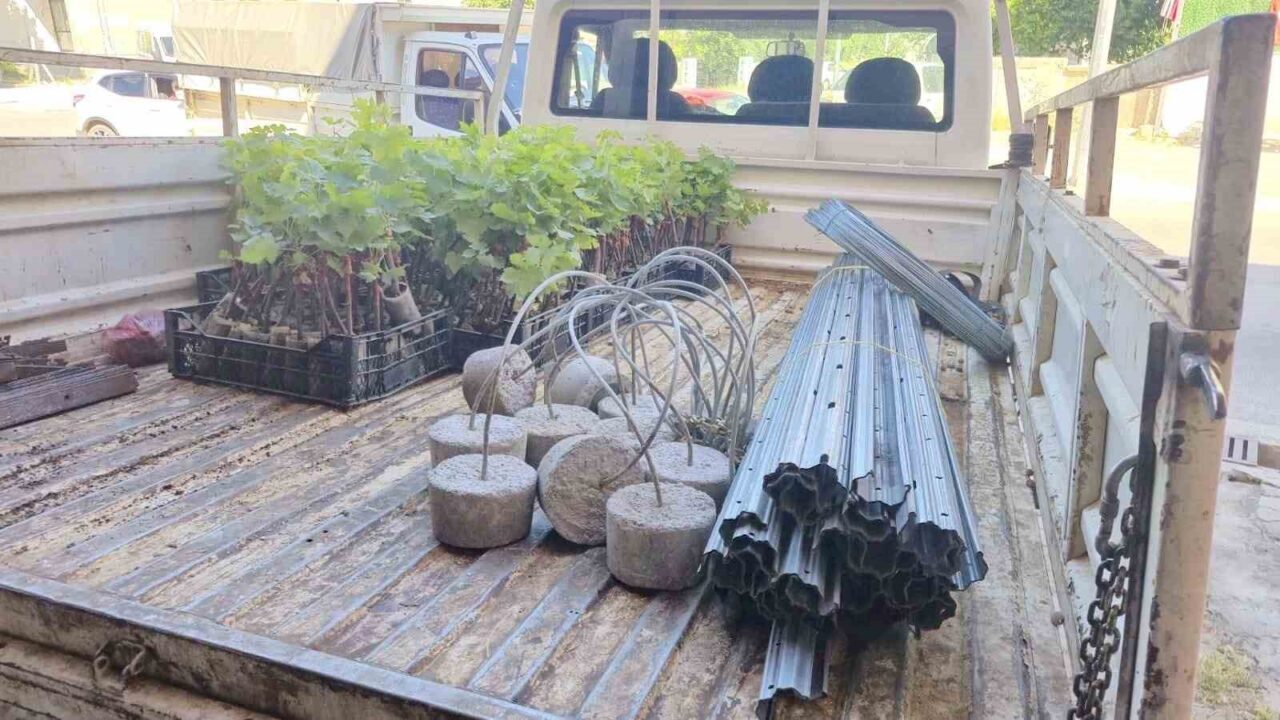 Dinar’da Bağcılık Projesi başladı