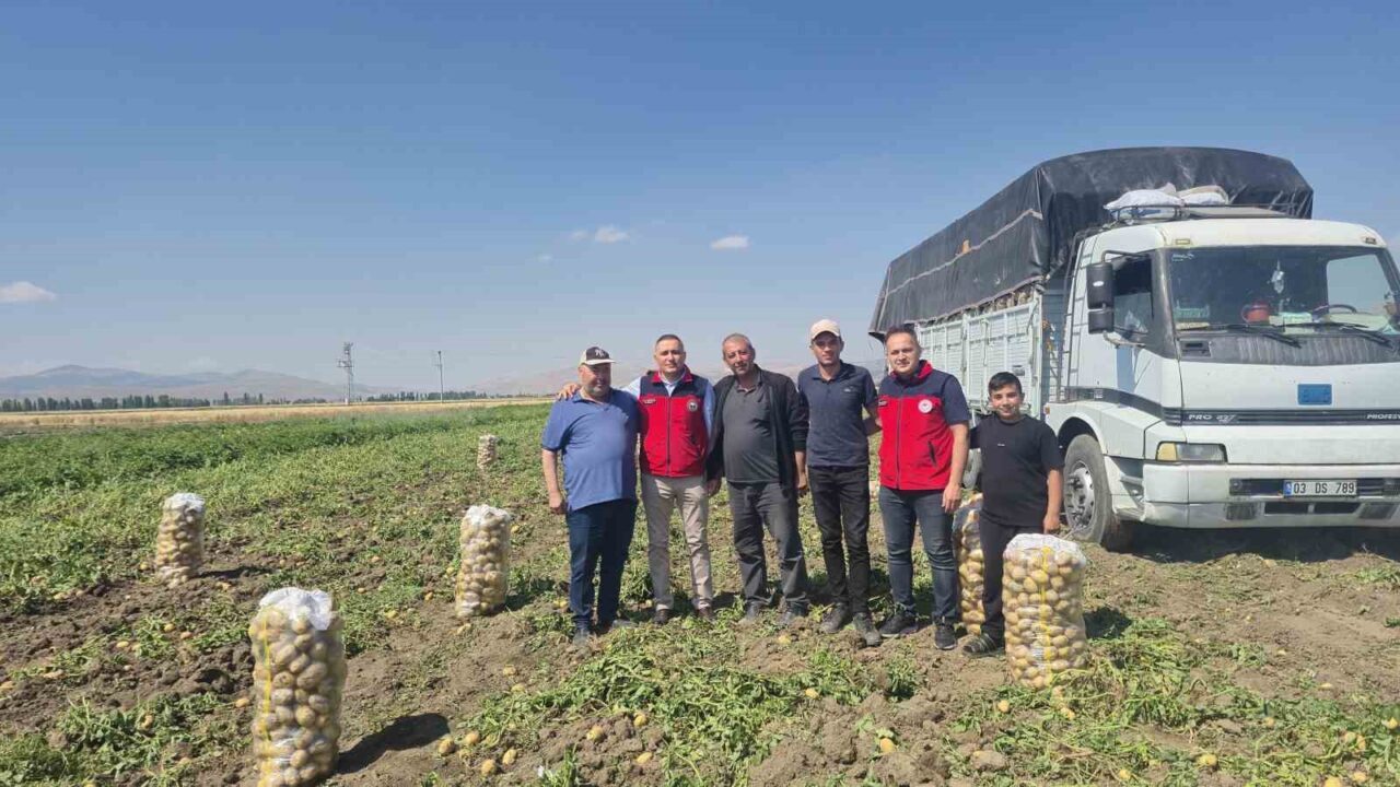 Dinar’da patates hasadı başladı
