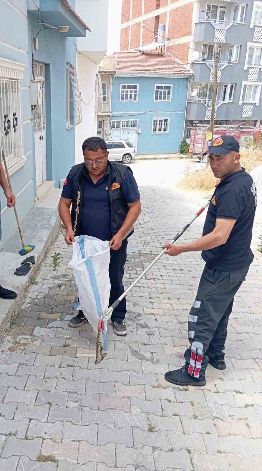 Eve giren yılan paniğe neden oldu