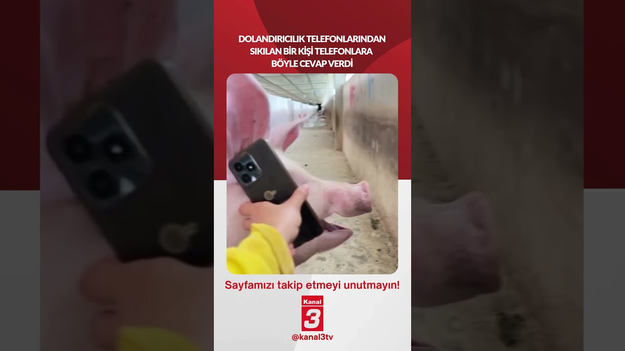 Dolandırıcılık telefonlarından sıkılan bir kişi telefonlara böyle cevap verdi…