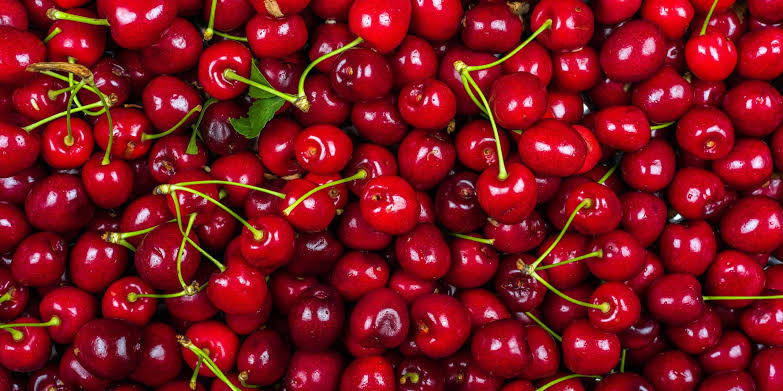 Ağaçtan topladıkları kiraz sonları oldu!