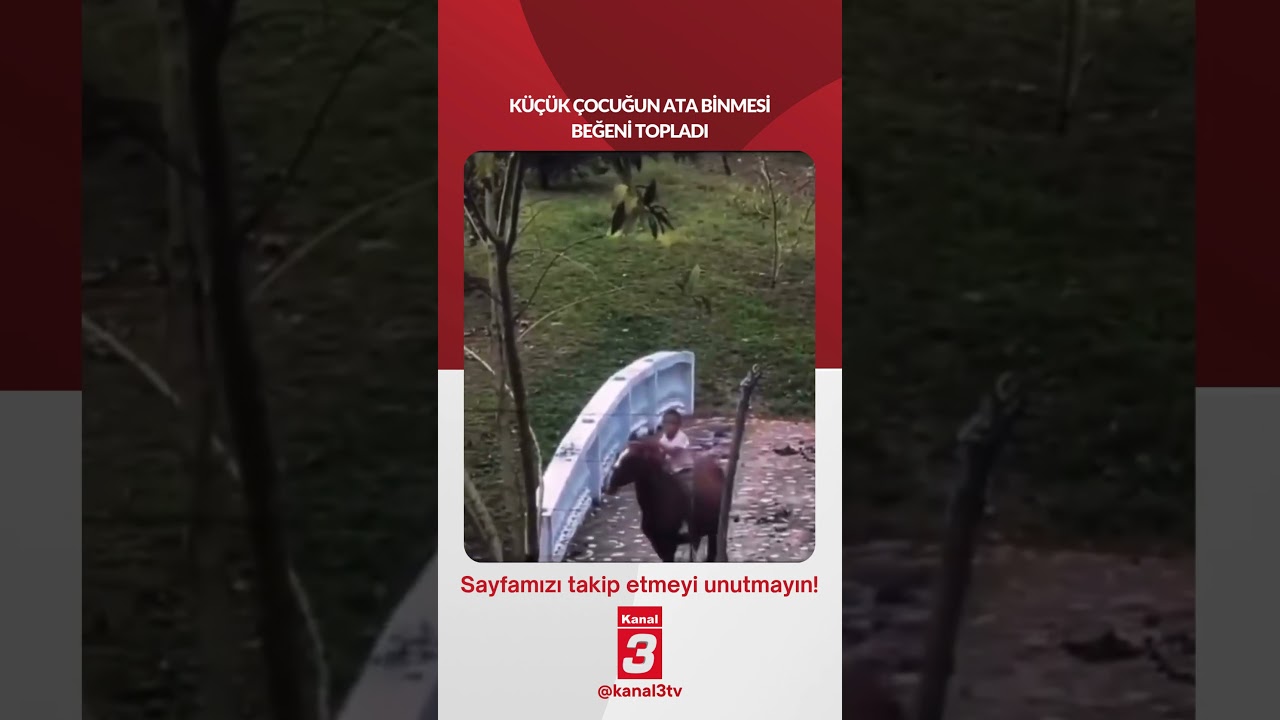 Küçük çocuğun ata binmesi beğeni topladı…