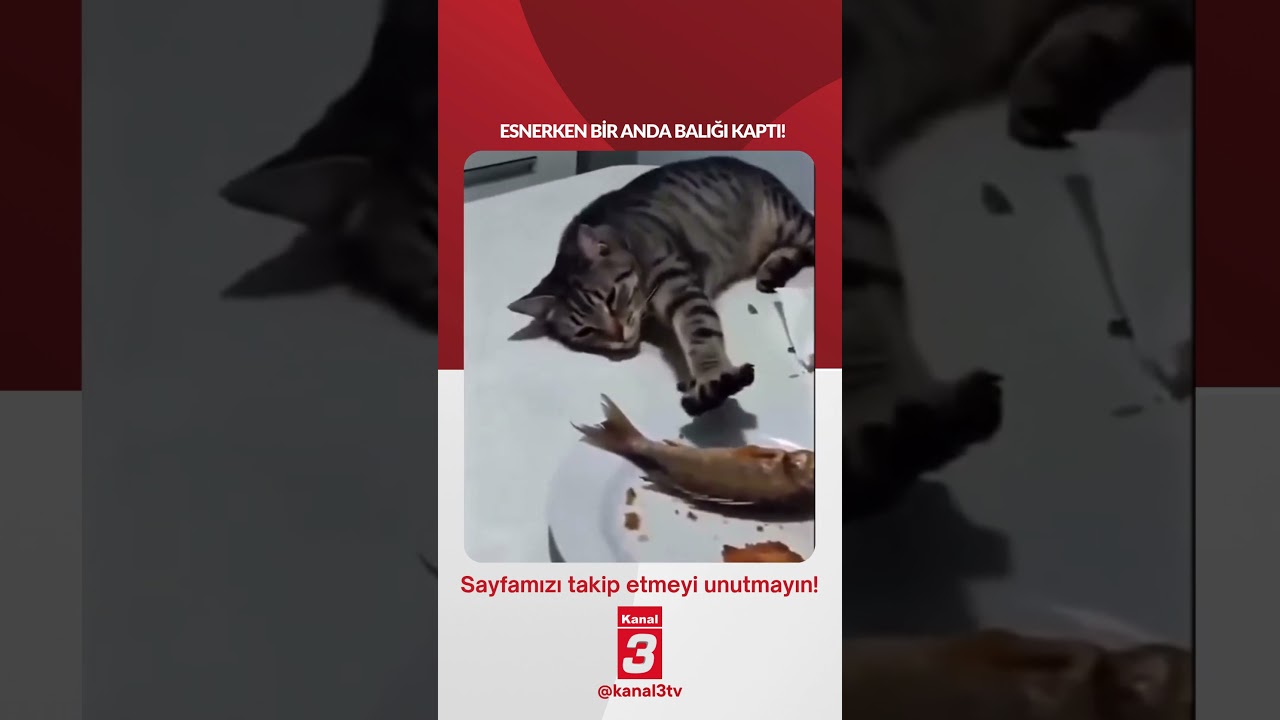 Esnerken bir anda balığı kaptı!
