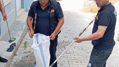 ​AFYONKARAHİSAR (AA) – Sandıklı ilçesinde bir eve giren yılan, itfaiye