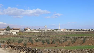 Haaretz gazetesinin, İsrailli sivil toplum kuruluşu Hatzlacha’nın ordudan aldığı bilgilere