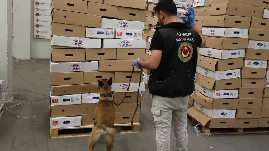 1,2 ton uyuşturucu ele geçirildi