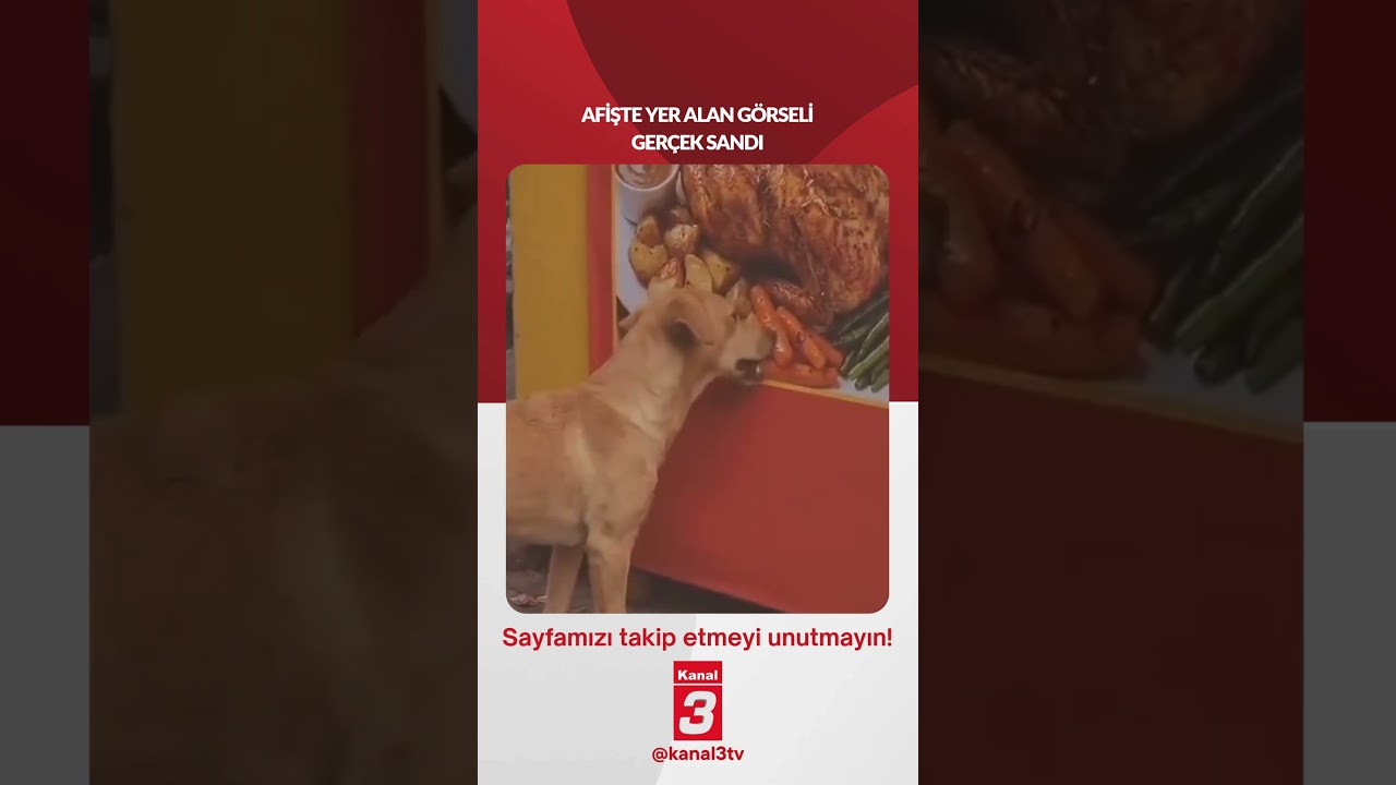 Afişte yer alan görseli gerçek sandı…