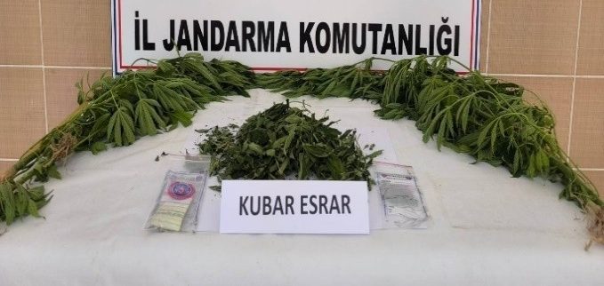 Jandarmadan 47 uyuşturucu operasyonu: 14 tutuklama