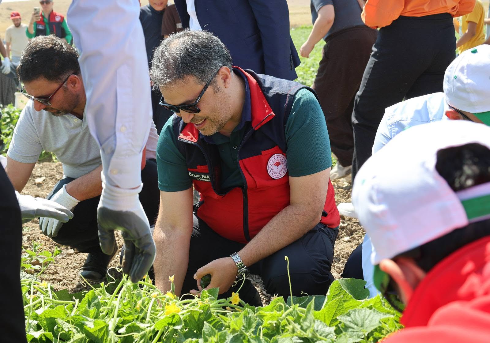 Afyon'da gençler tarlaya indi