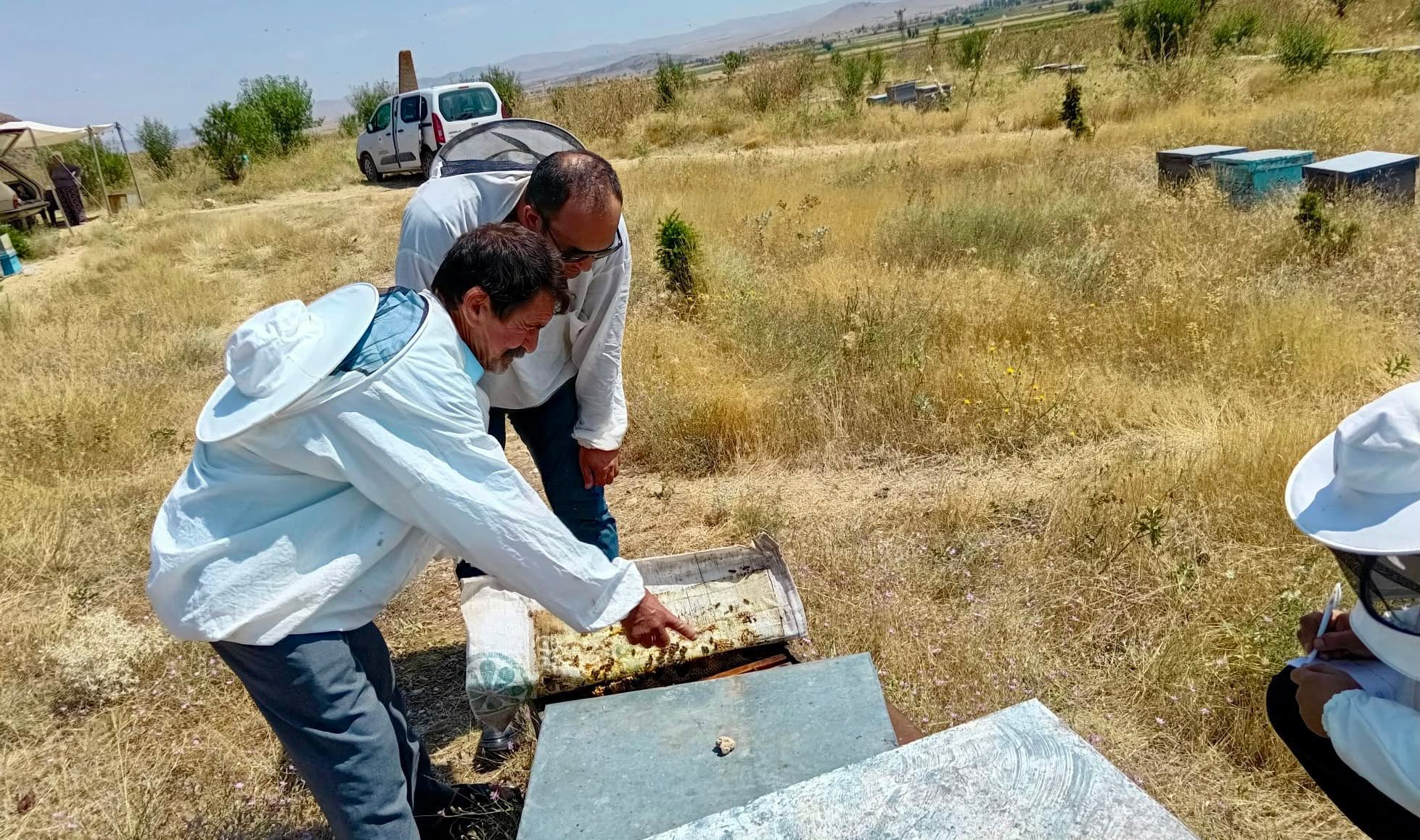 Arıcıların kovanları mercek altında