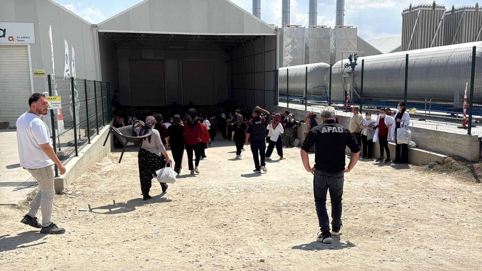 Erkmen’de serada zehirlenme paniği: Yaklaşık 40 kişi etkilendi 27 Erkmen’de serada zehirlenme paniği: Yaklaşık 40 kişi etkilendi