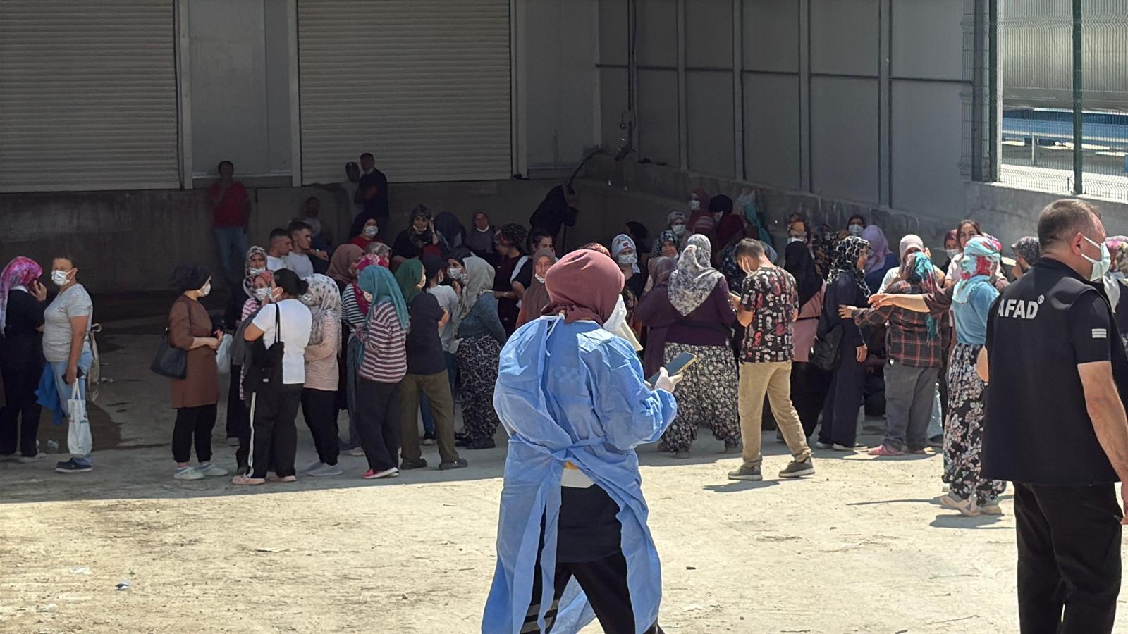 Erkmen’de serada zehirlenme paniği: Yaklaşık 40 kişi etkilendi 29 Erkmen’de serada zehirlenme paniği: Yaklaşık 40 kişi etkilendi