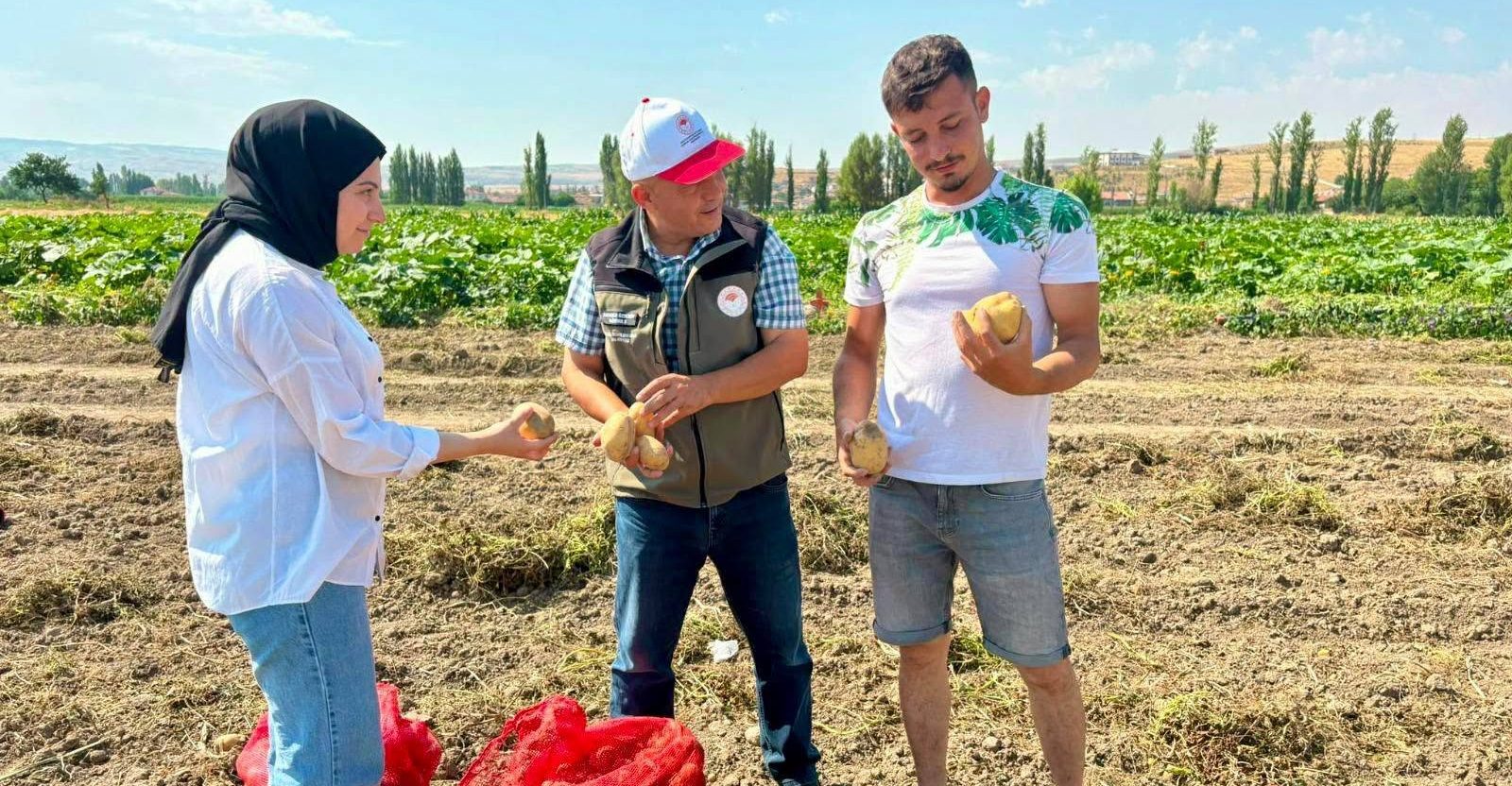 İl Tarım ekipleri hastalık ve zararlıları sahada izliyor