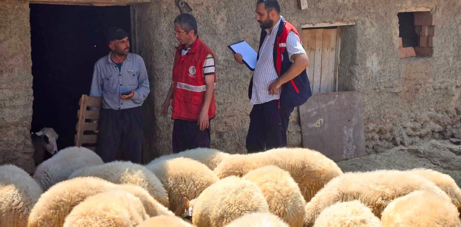 Küçükbaş hayvancılık için sahada kayıt çalışması