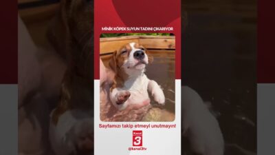 https://kanal3.com.tr/ Sosyal Medya Hesaplarımızı Takip Ederek Son Dakika Haberleri Alabilirsiniz;