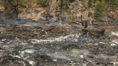 Landes Valiliğinden yapılan açıklamaya göre, Luglon’daki orman yangını devam ediyor.