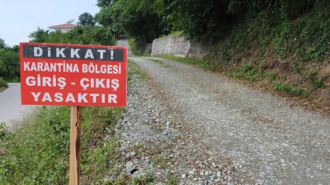 Mavi dil hastalığı nedir? 15 mahalle karantinaya alındı!