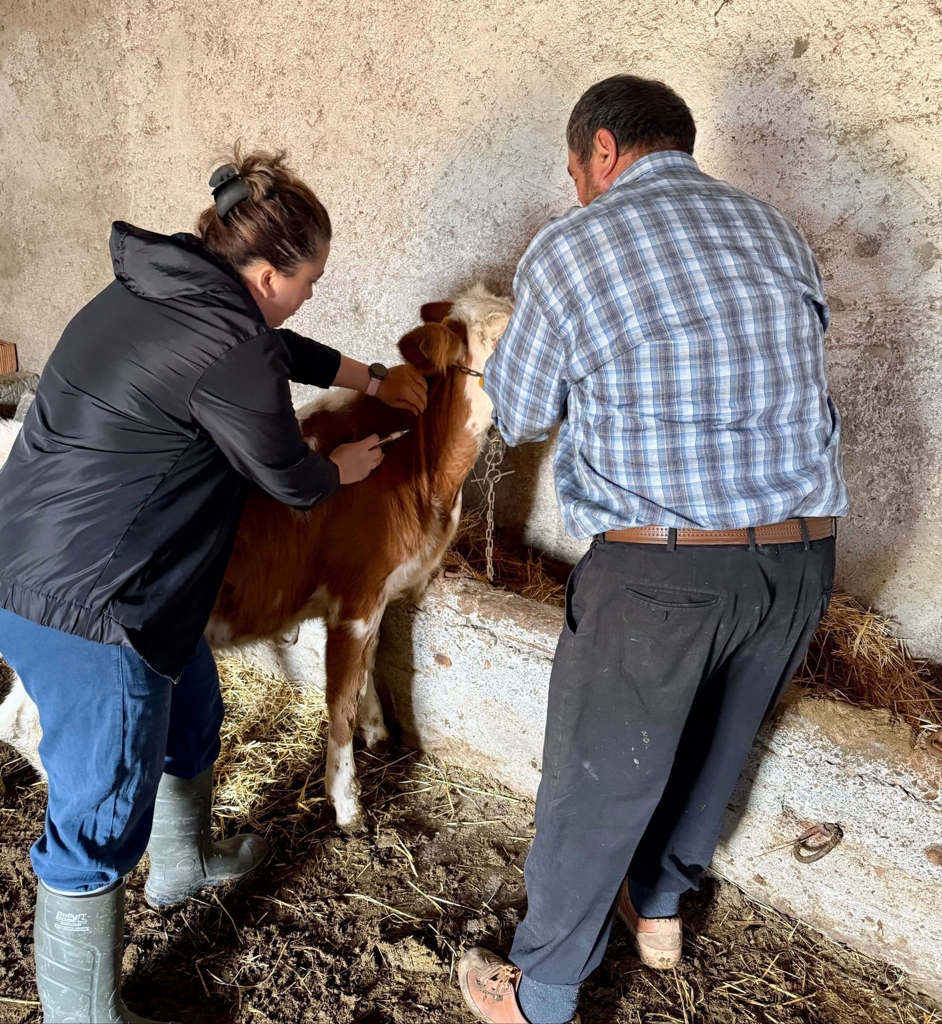 Sonbahar aşılama kampanyası sürüyor