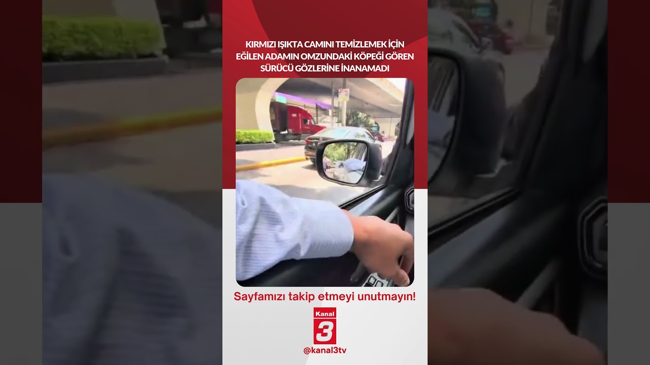 Kırmızı ışıkta camını temizlemek için eğilen adamın omzunda köpeği gören sürücü gözlerine inanamadı