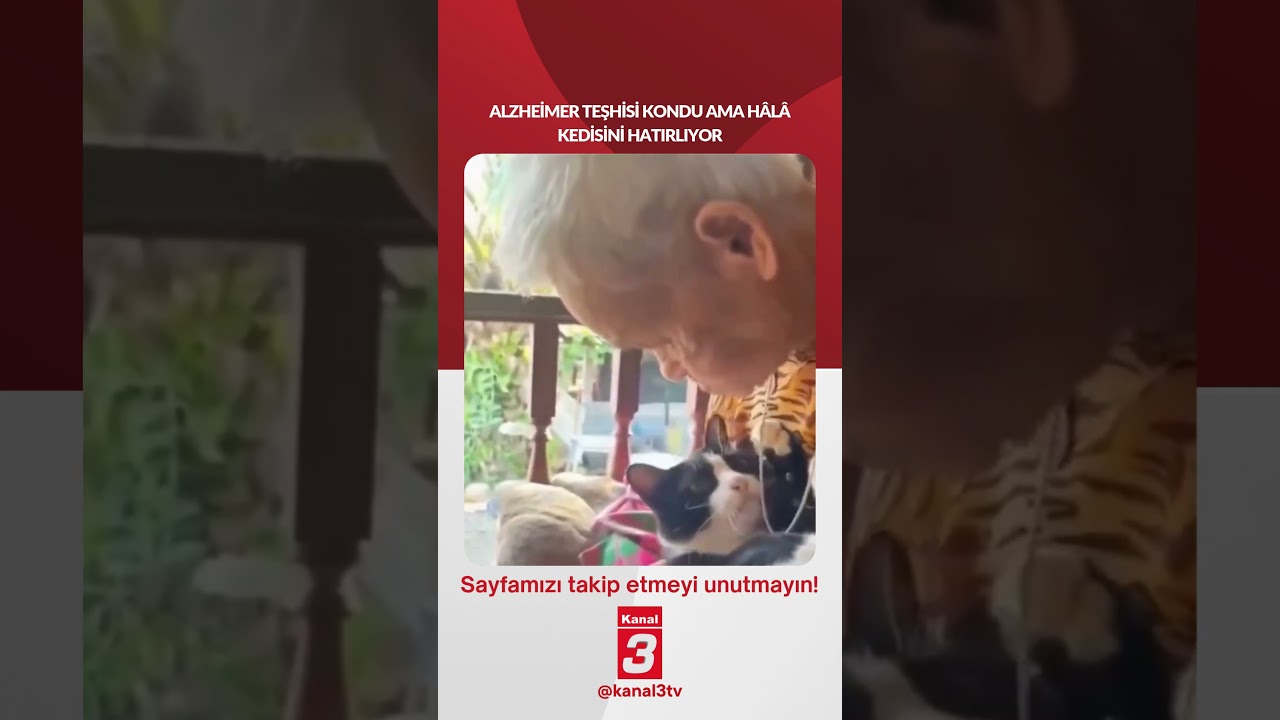 Alzheimer teşhisi kondu ama hâlâ kedisini hatırlıyor…