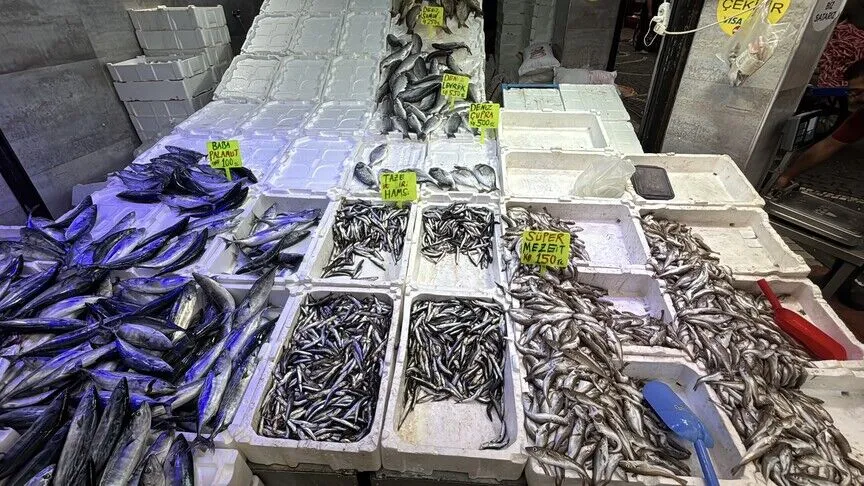 Karadeniz’de balık bolluğu tezgahlara yansıdı