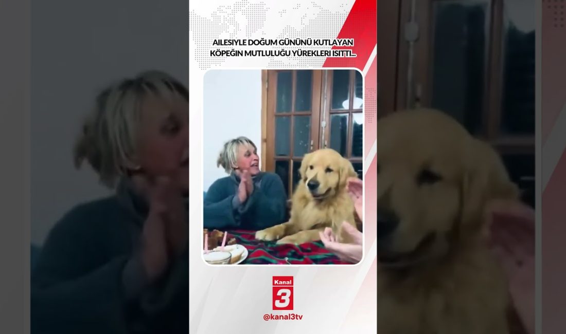 Ailesiyle doğum gününü kutlayan köpeğin mutluluğu yürekleri ısıttı… https://kanal3.com.tr/ Sosyal