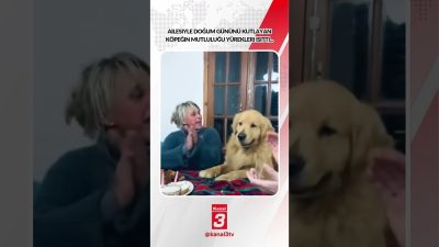 Ailesiyle doğum gününü kutlayan köpeğin mutluluğu yürekleri ısıttı… https://kanal3.com.tr/ Sosyal
