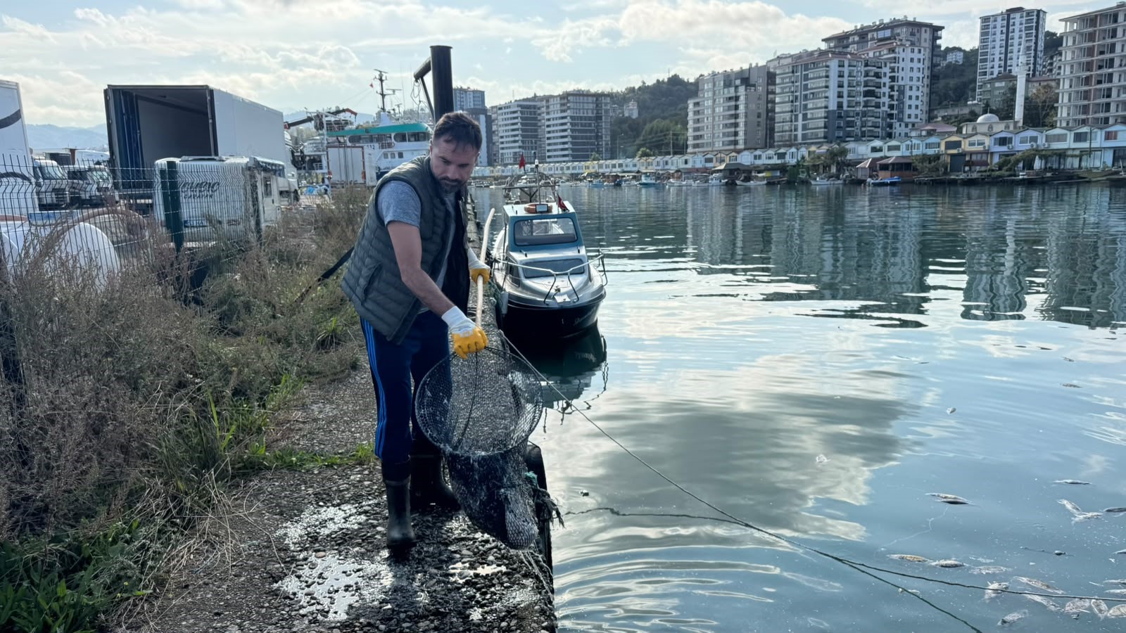 Palamut bolluğu çileye dönüştü, liman balık çöplüğüne döndü